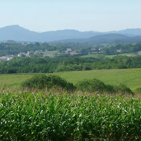 Gorpulania
